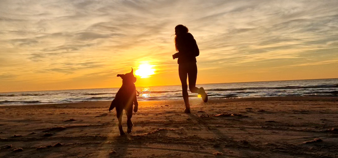 Am Strand mit Hund bei Sonnenuntergang